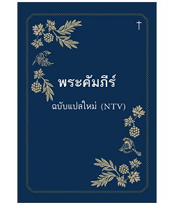 New version Thai Bible